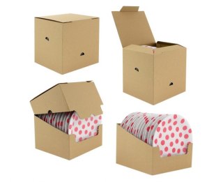 Talerzyki pap. groszki certyfikat FSC 18 cm 6szt. | PW-TGR7