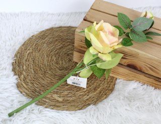 Kwiat RÓŻA 2 kwiaty (3-10 cm) łodyga 45,5 cm ZIELONO-KREMOWA WT-151E