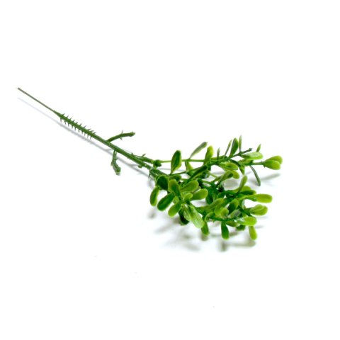 Łodyżka 12szt bukszpanu 20cm Łodyżka 12szt bukszpanu 20cm