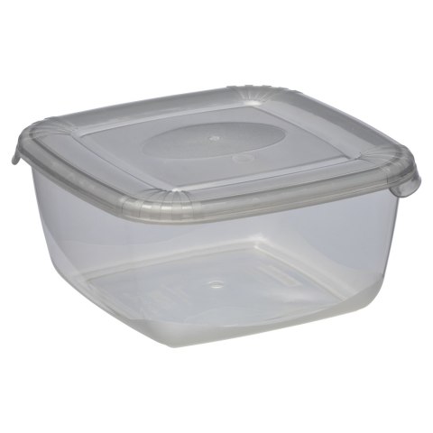 Pojemnik 6szt. plastikowy 0,46l HAWAI POLAR | 1674 Pojemnik 6szt. plastikowy 0,46l HAWAI POLAR | 1674