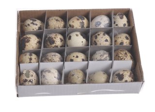 Jajka przepiórki, naturalne wydmuszki 3,5cm, 20szt. 22CAN100A/20