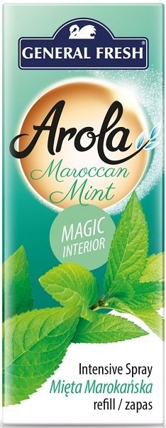 Zapas szyszka 40ml Marokańska Mięta