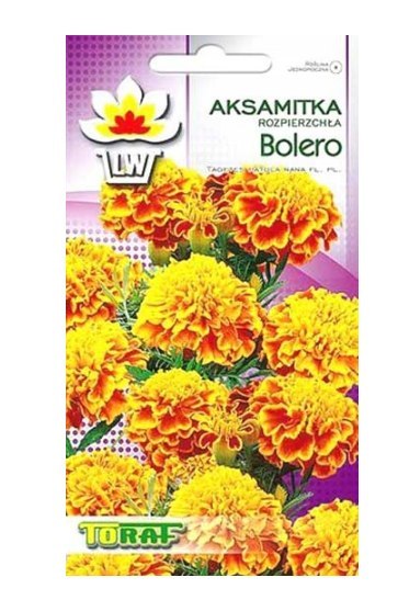 Nasiona AKSAMITKA BOLERO 1g Nasiona AKSAMITKA BOLERO 1g