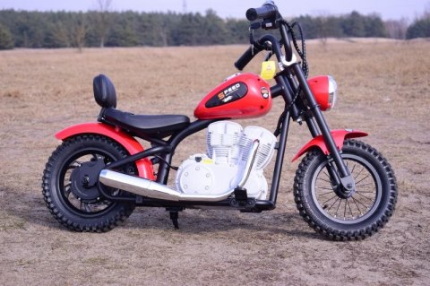 REWELACYJNY MOTOR SPEED 12 PLUS POMPOWANE KOŁA, STALOWA RAMA/A9902 REWELACYJNY MOTOR SPEED 12 PLUS POMPOWANE KOŁA, STALOWA RAMA/A9902