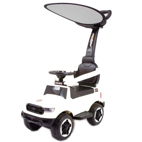 JEŹDZIK, ODPYCHACZ COLL BABY Z DŹWIĘKAMI I DASZKIEM/TC-902 JEŹDZIK, ODPYCHACZ COLL BABY Z DŹWIĘKAMI I DASZKIEM/TC-902
