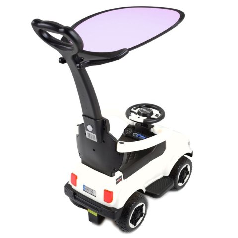 JEŹDZIK, ODPYCHACZ COLL BABY Z DŹWIĘKAMI I DASZKIEM/TC-902 JEŹDZIK, ODPYCHACZ COLL BABY Z DŹWIĘKAMI I DASZKIEM/TC-902