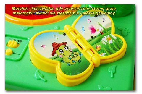 ŚLICZNY DWUSTRONNY STOLIK Z DŹWIĘKAMI/LM2131 ŚLICZNY DWUSTRONNY STOLIK Z DŹWIĘKAMI/LM2131